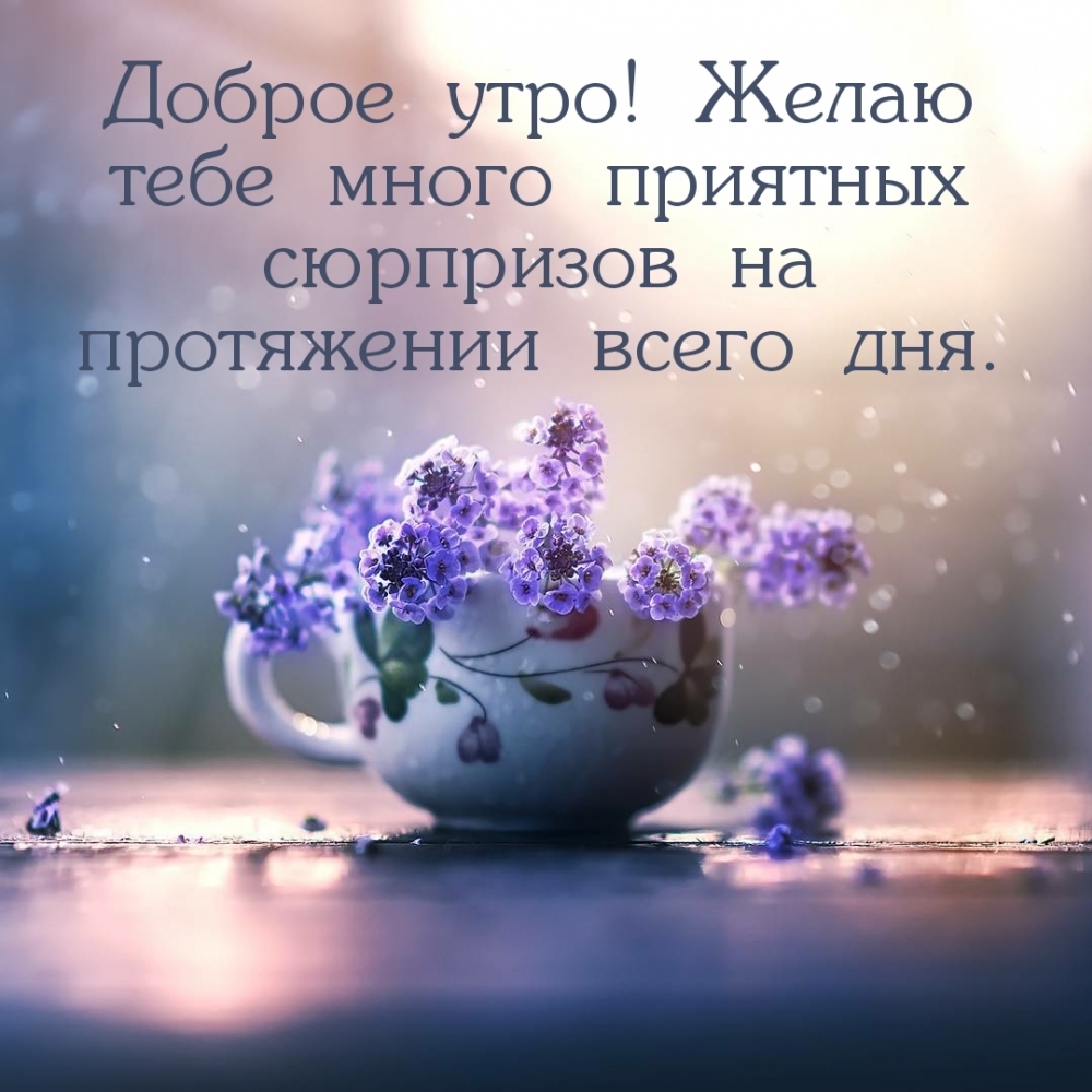 Доброе утро! Желаю тебе много приятых сюрпризов