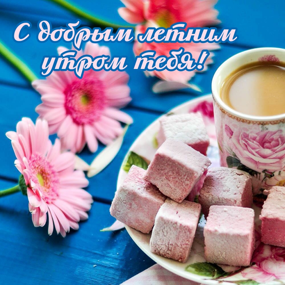 С добрым летним утром тебя!