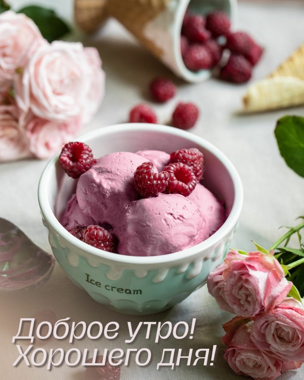 Доброе утро! Хорошего дня!
