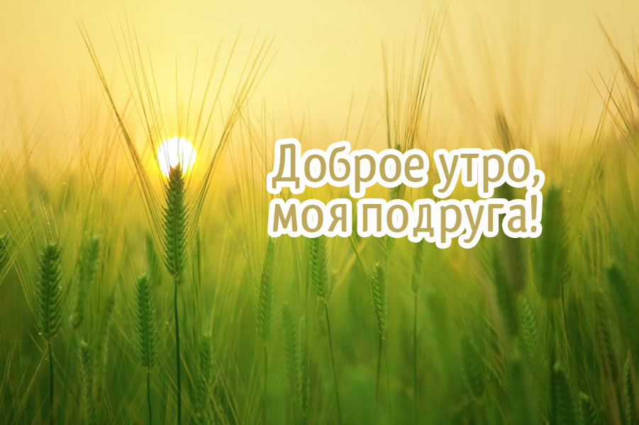 Доброе утро, моя подруга!