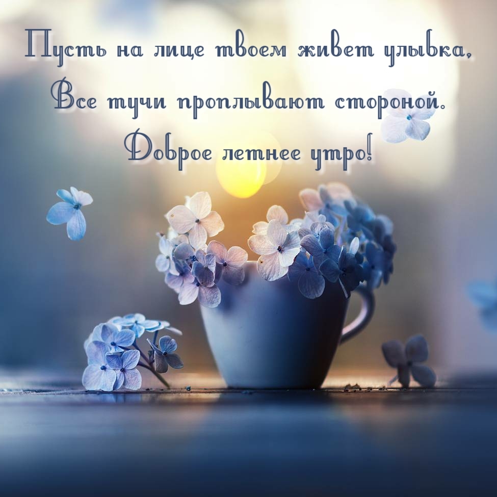 Пусть на лице твоем живет улыбка. Доброе летнее утро!