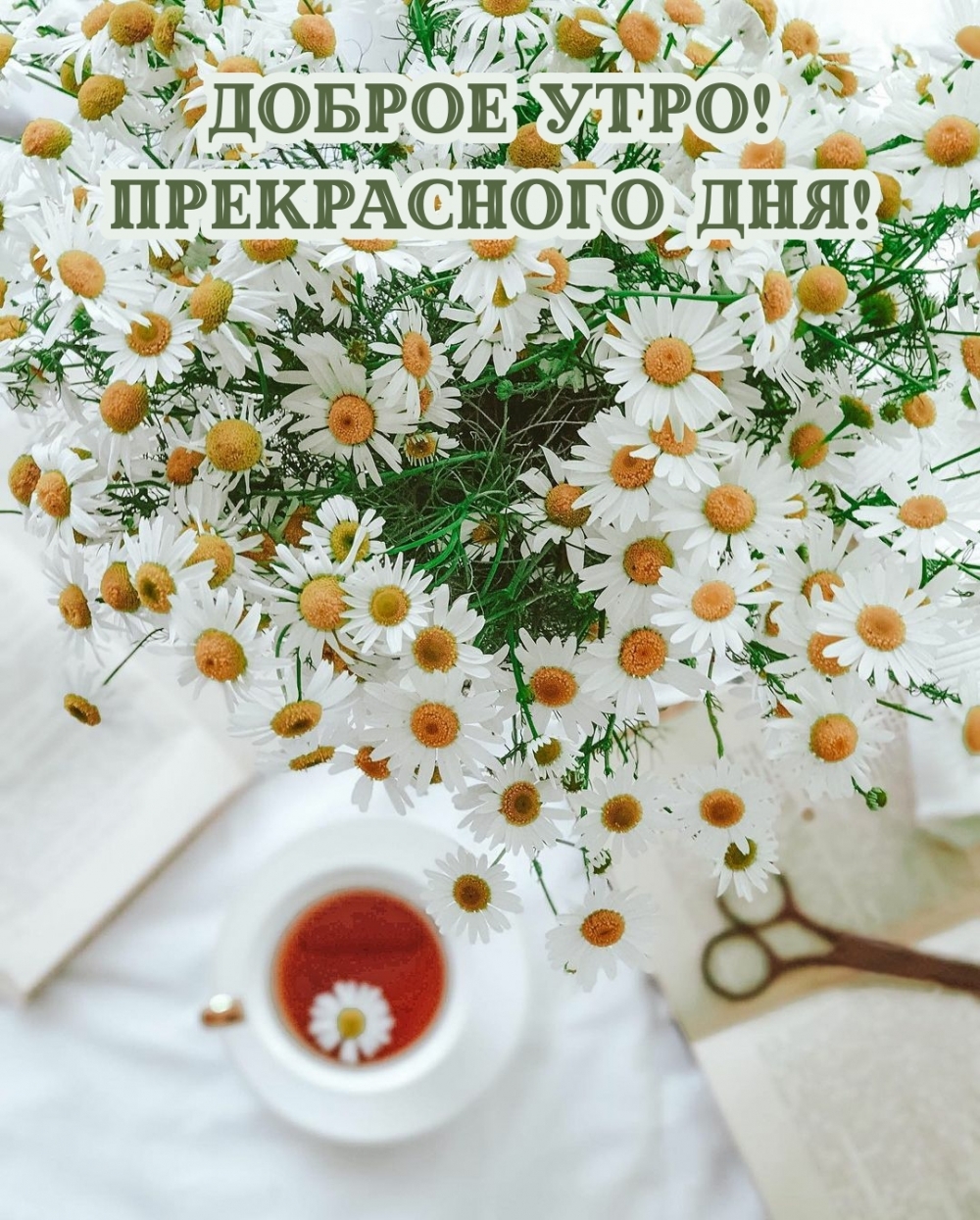 Доброе утро! Прекрасного дня!