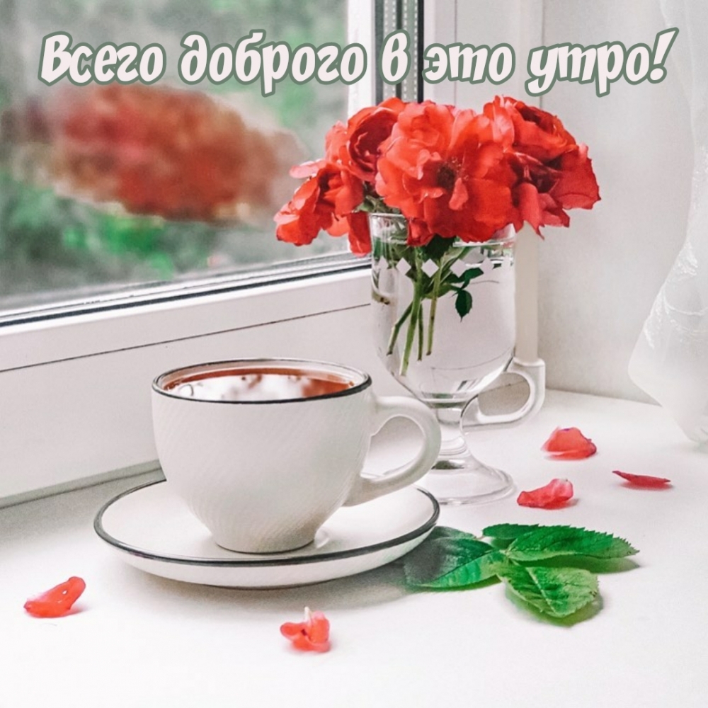 Всего доброго в это утро!