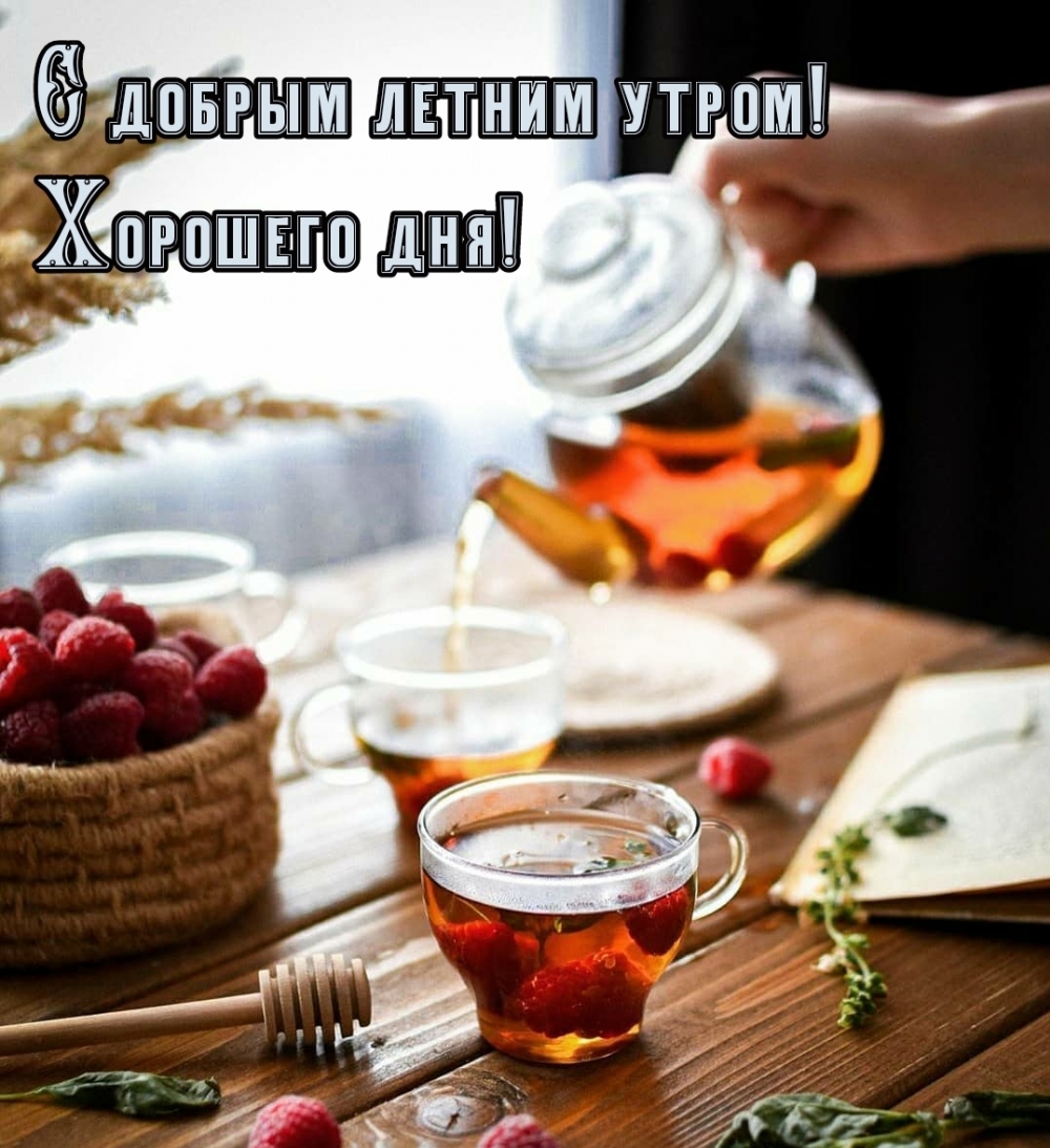 С добрым летним утром! Хорошего дня!