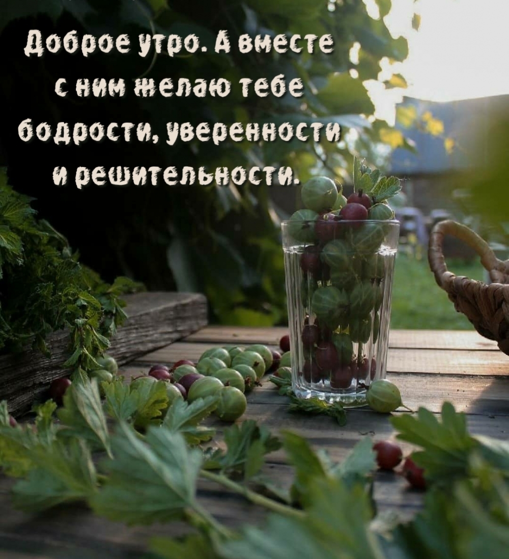 Доброе утро! Желаю тебе бодрости, уверенности