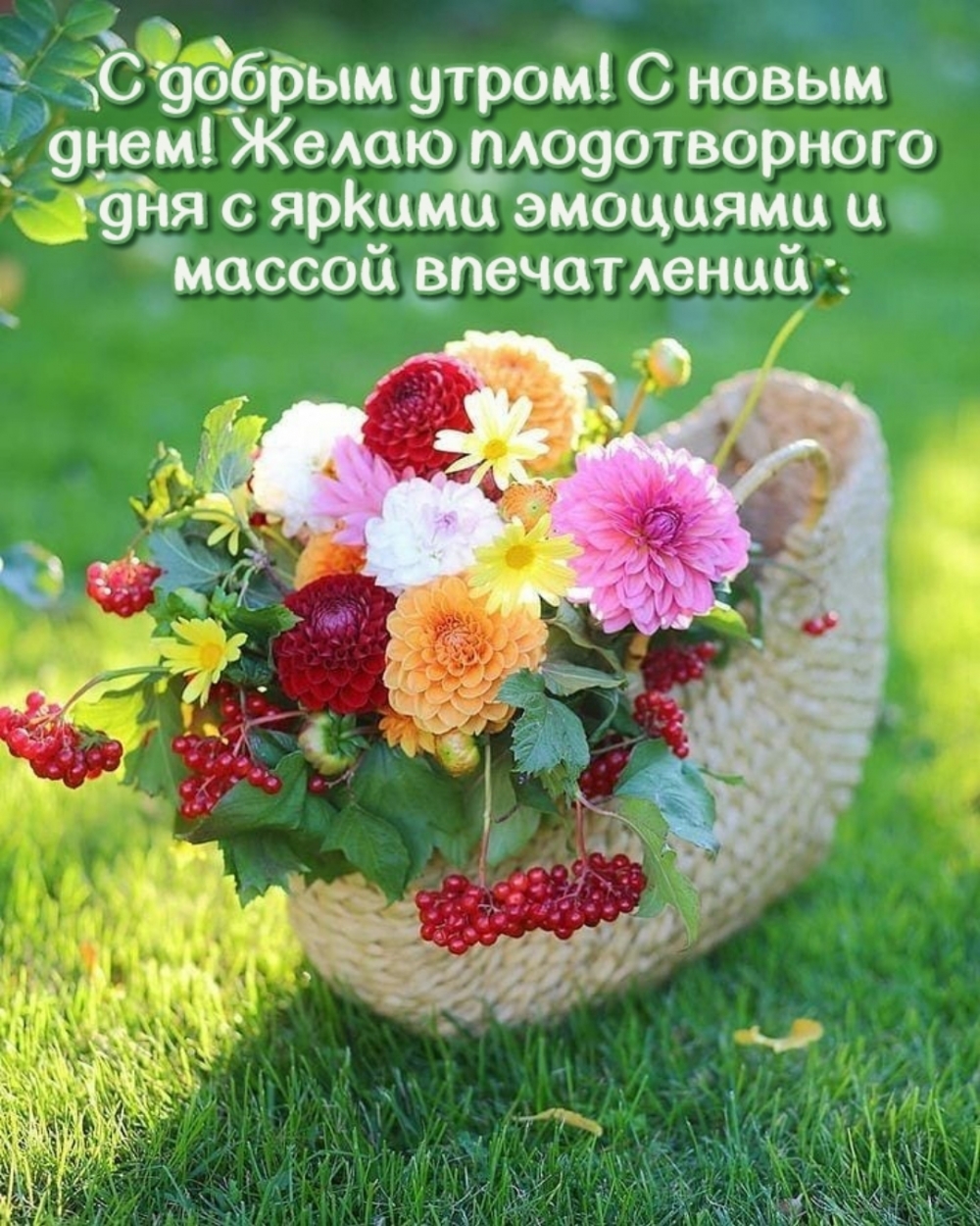 С добрым утром! С новым днем!