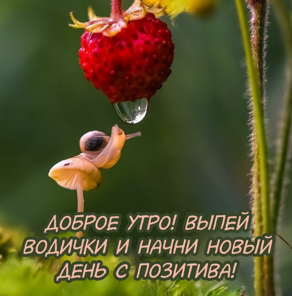 Доброе утро! Выпей водички и начни новый день с позитива!