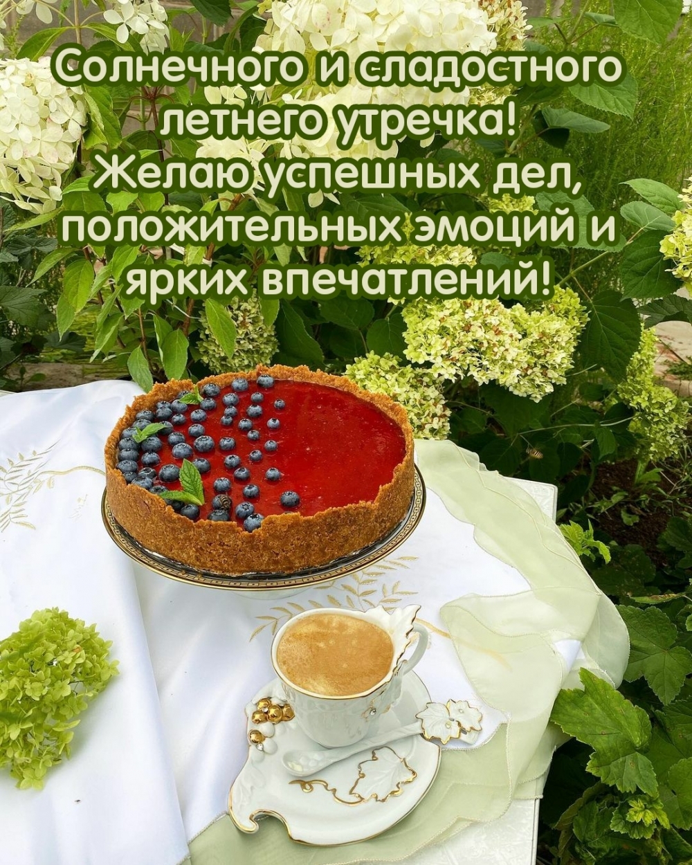 Солнечного и сладостного летнего утречка!