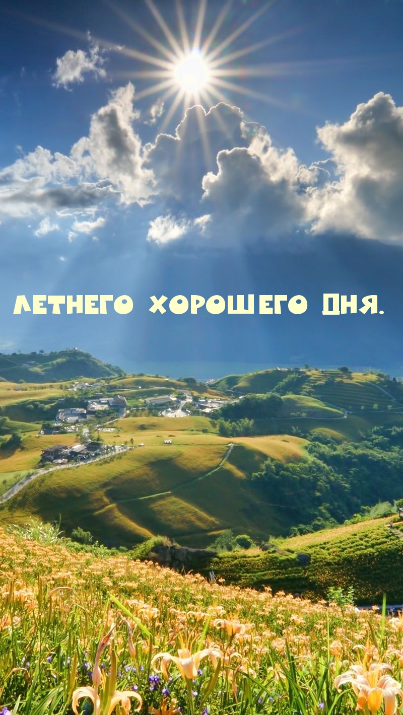 Летнего хорошего дня.