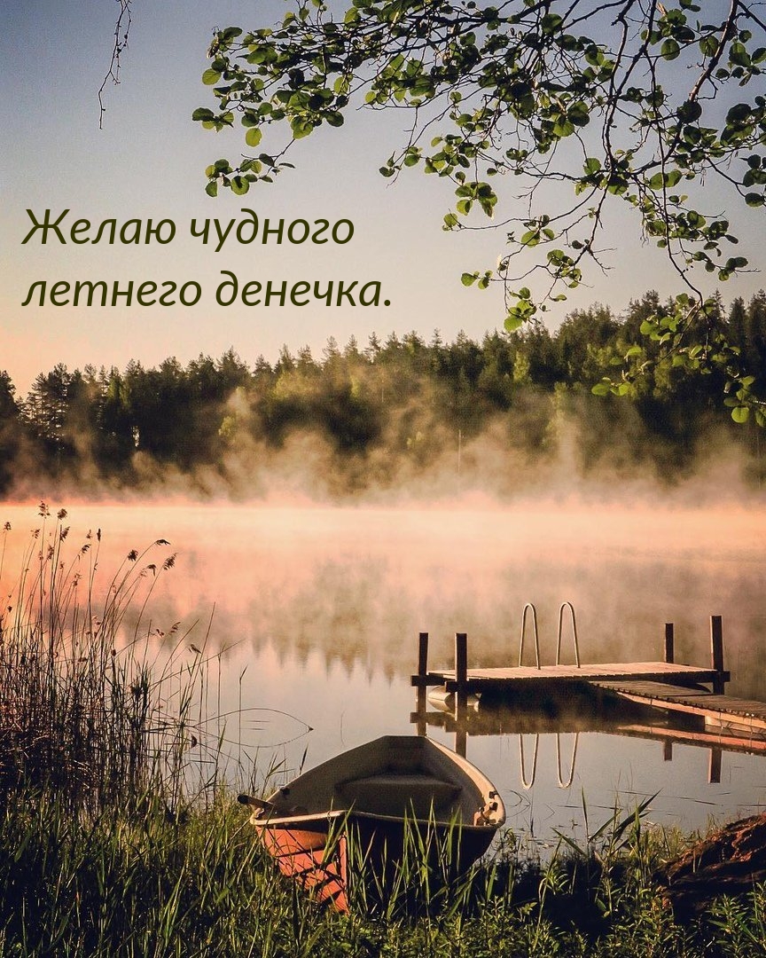 Желаю чудного летнего денечка.