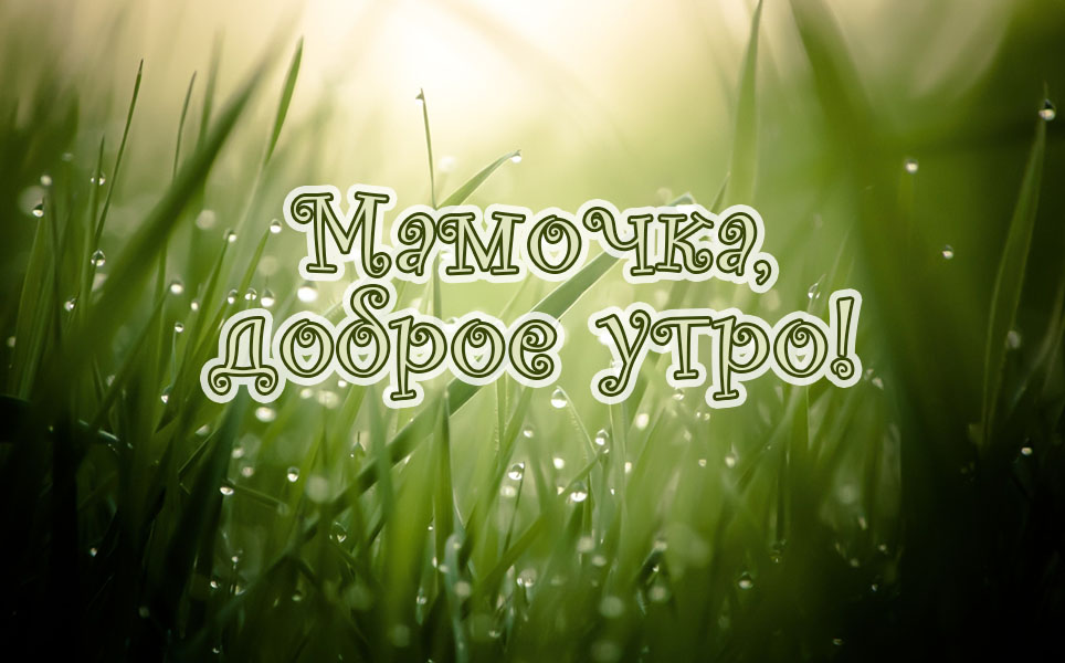Мамочка, с добрым утром тебя!