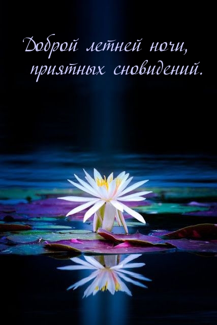 Доброй летней ночи, приятных сновидений.