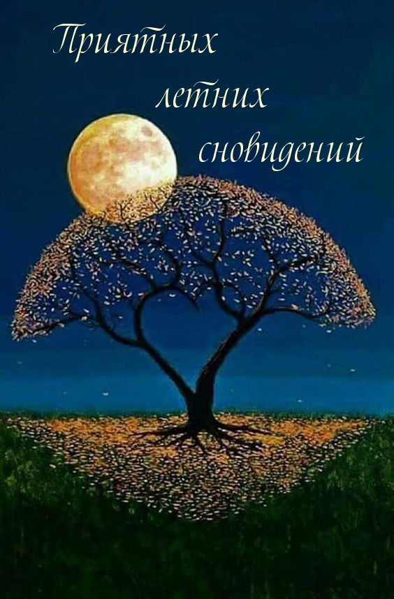 Приятных летних сновидений
