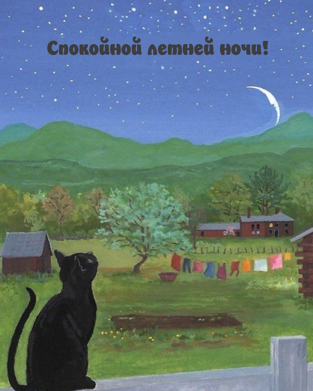 Спокойной летней ночи!