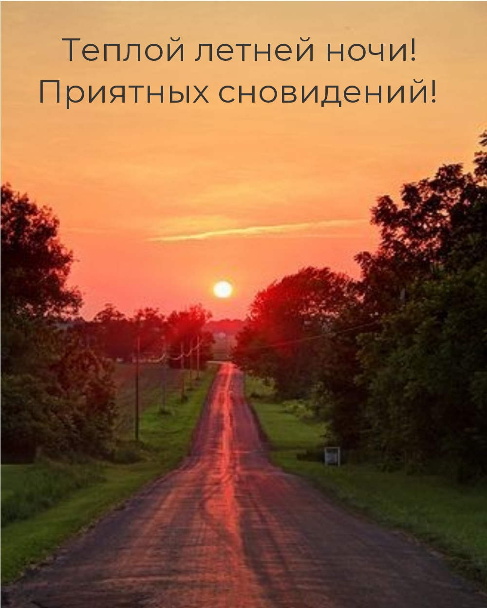 Теплой летней ночи! Приятных сновидений!