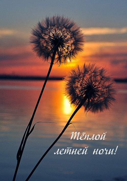 Тёплой летней ночи!