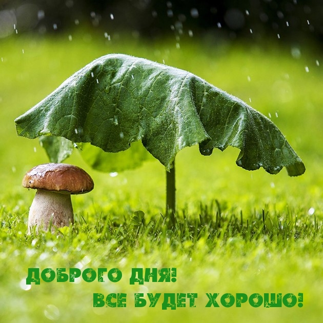Доброго дня! Все будет хорошо!