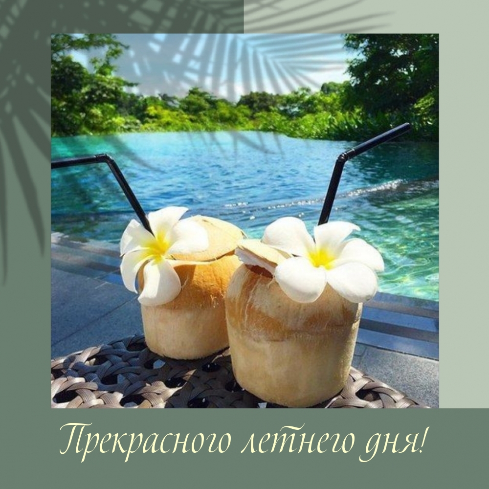 Прекрасного летнего дня!