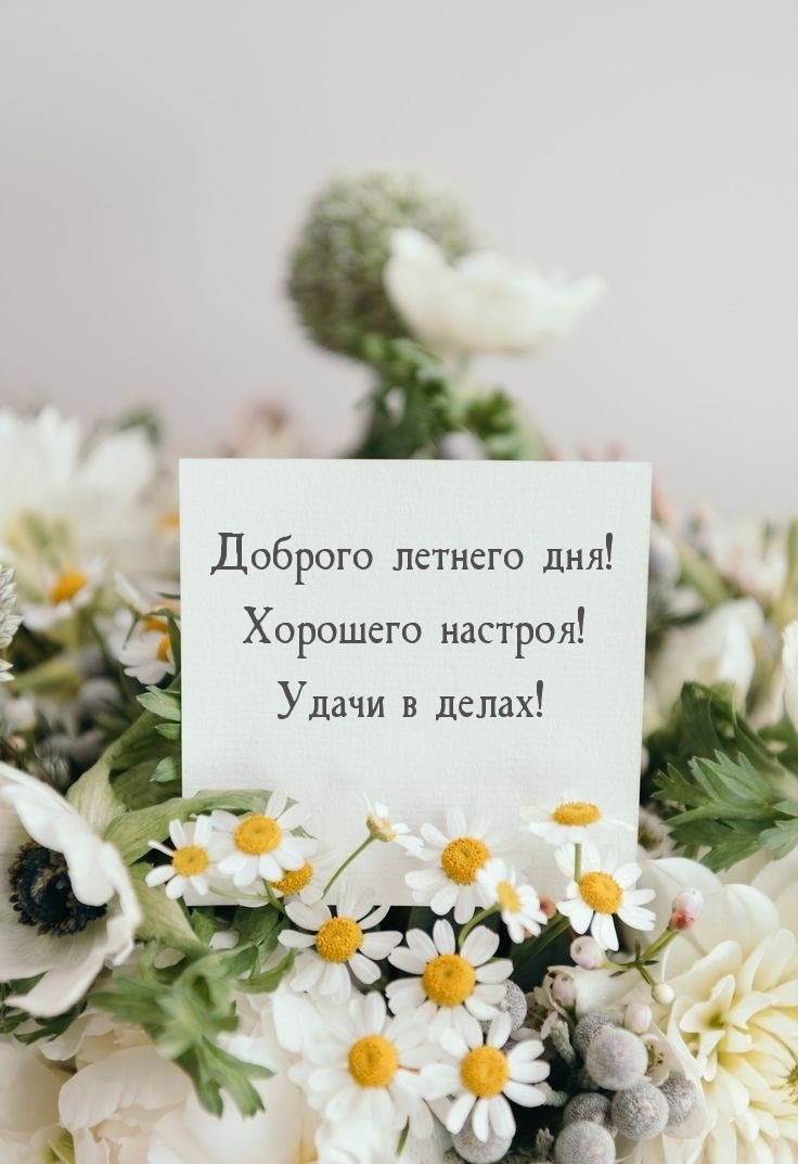 Доброго летнего дня! Хорошего настроя! Удачи в делах!