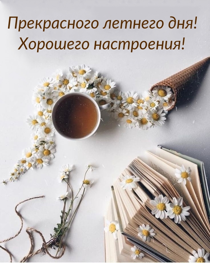Прекрасного летнего дня! Хорошего настроения!