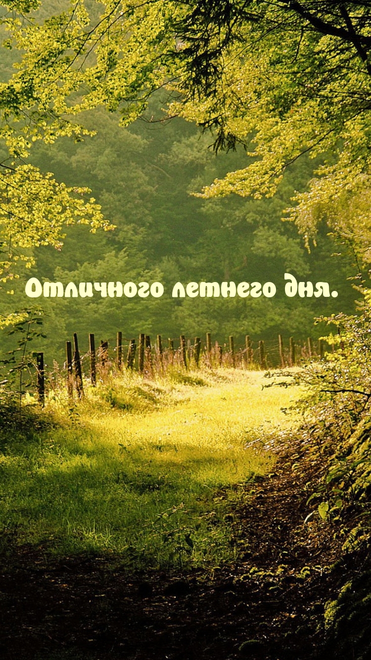 Отличного летнего дня.