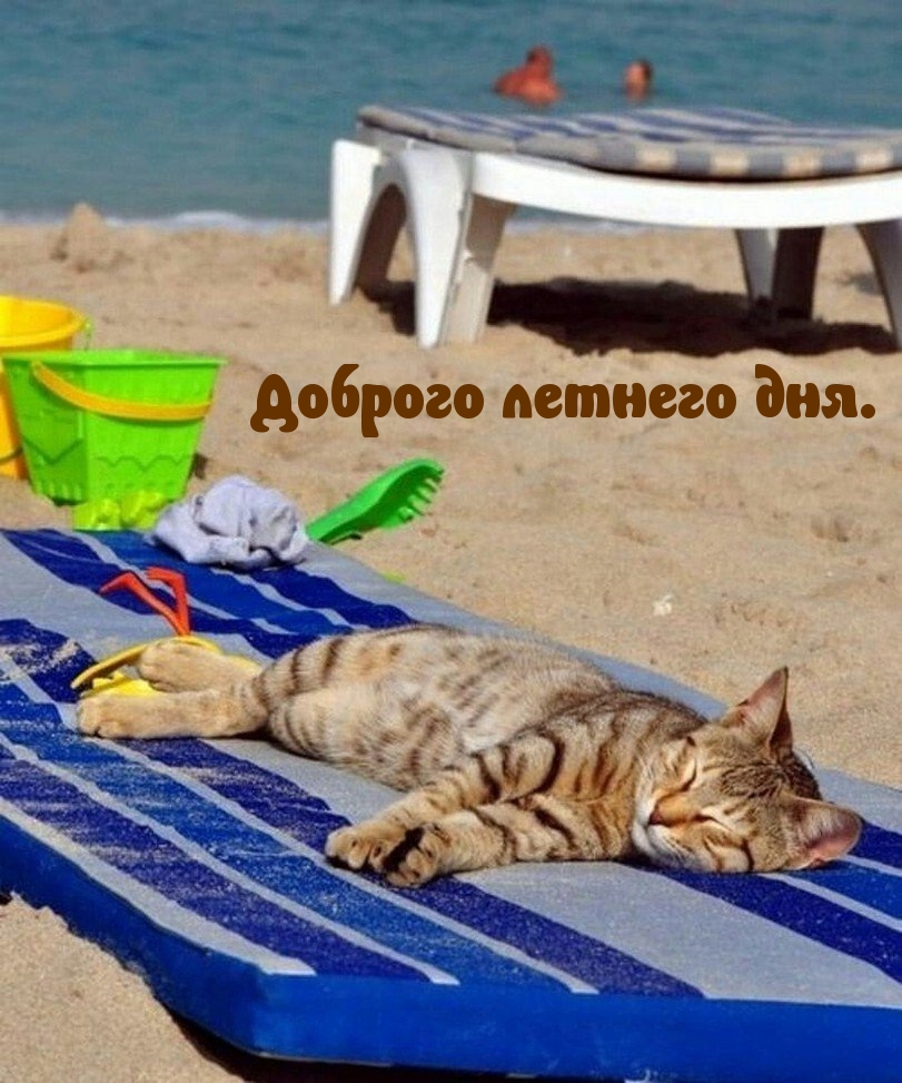 Доброго летнего дня.