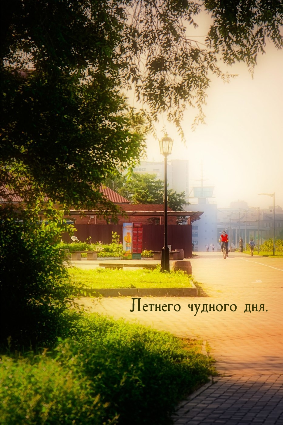 Летнего чудного дня.