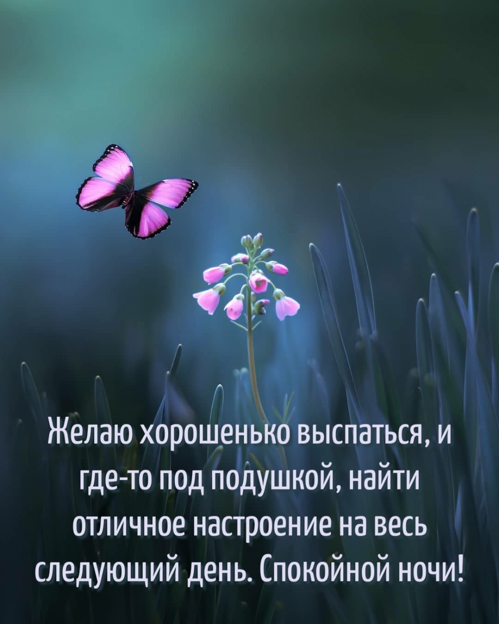 Желаю хорошенько выспаться