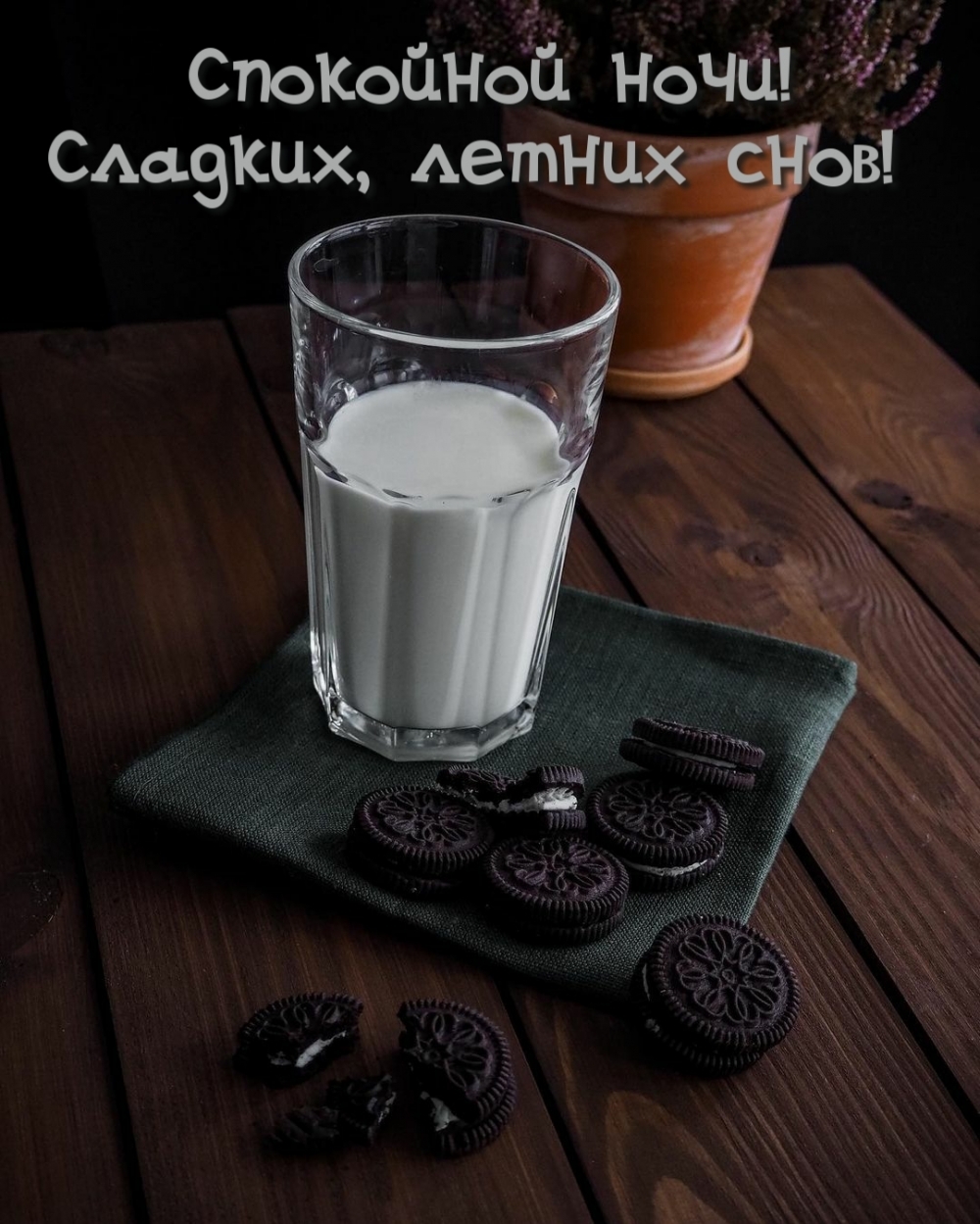 Спокойной ночи! Сладких, летних снов!