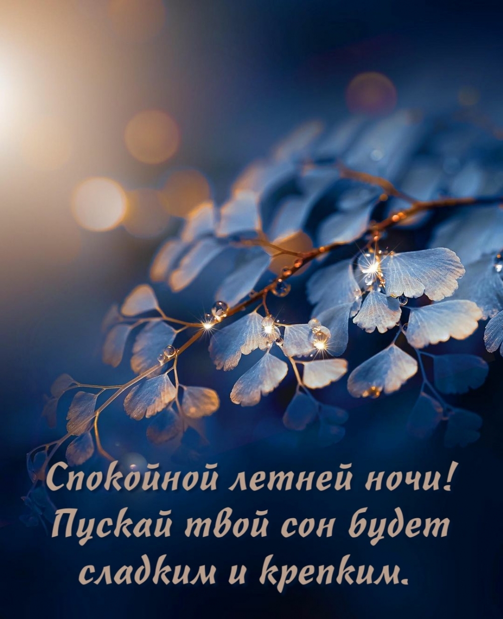 Спокойной летней ночи! Пускай твой сон будет сладким и крепким.