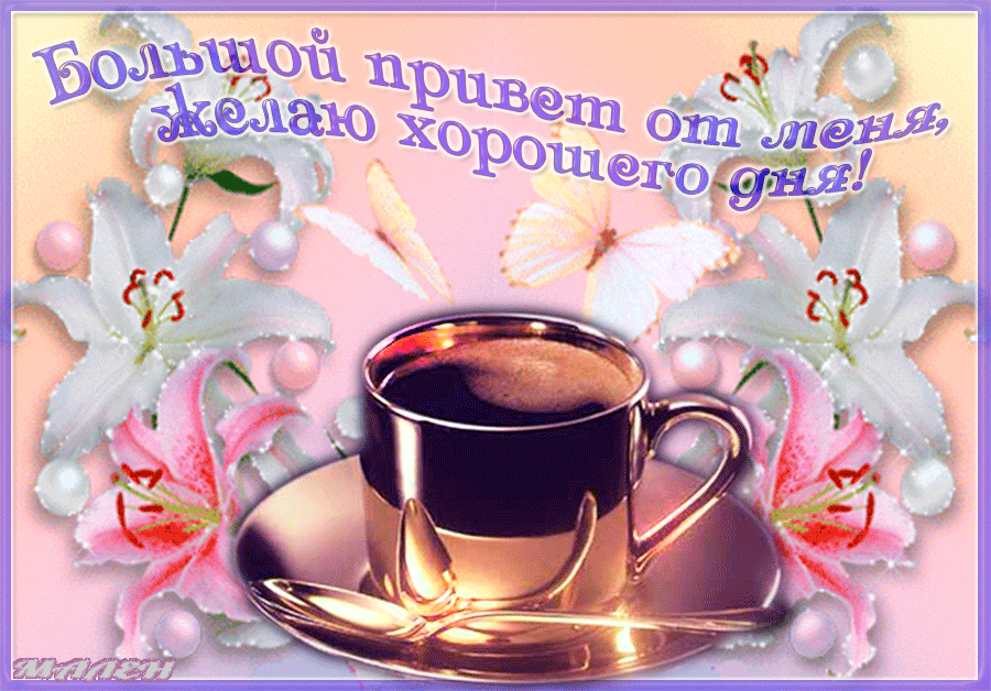 Большой привет от меня, хорошего дня!