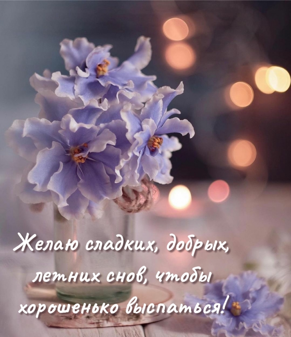 Желаю сладких, добрых, летних снов