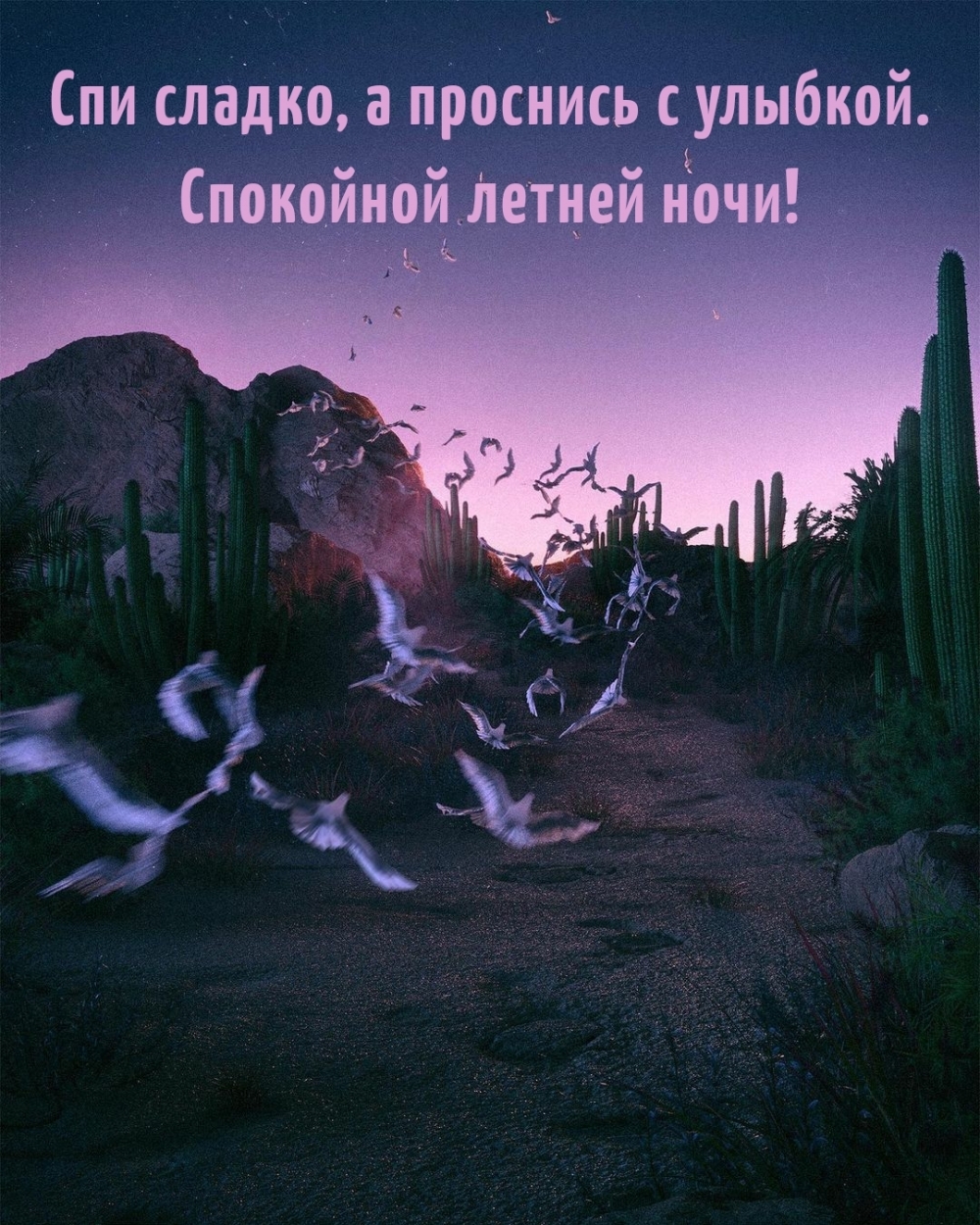 Спи сладко, а проснись с улыбкой. Спокойной летней ночи!