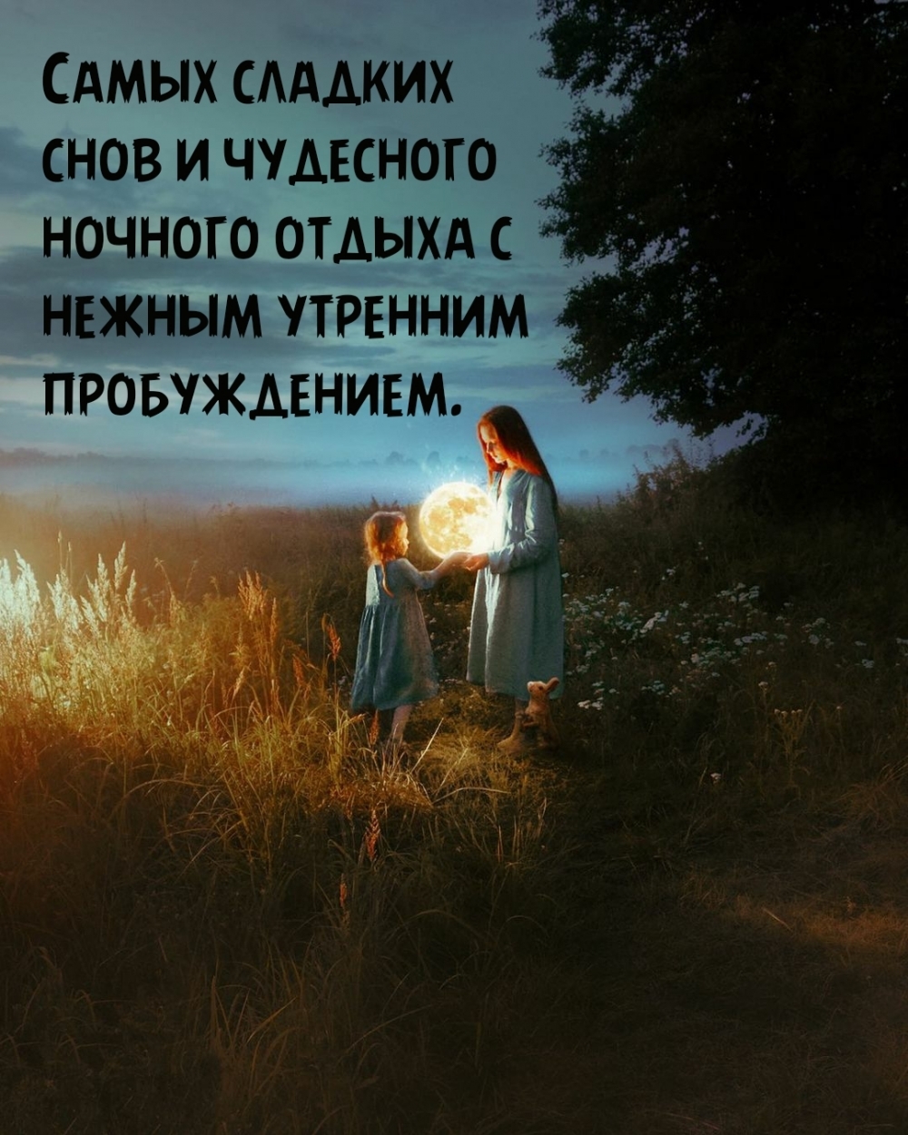 Самых сладких снов и чудесного ночного отдыха