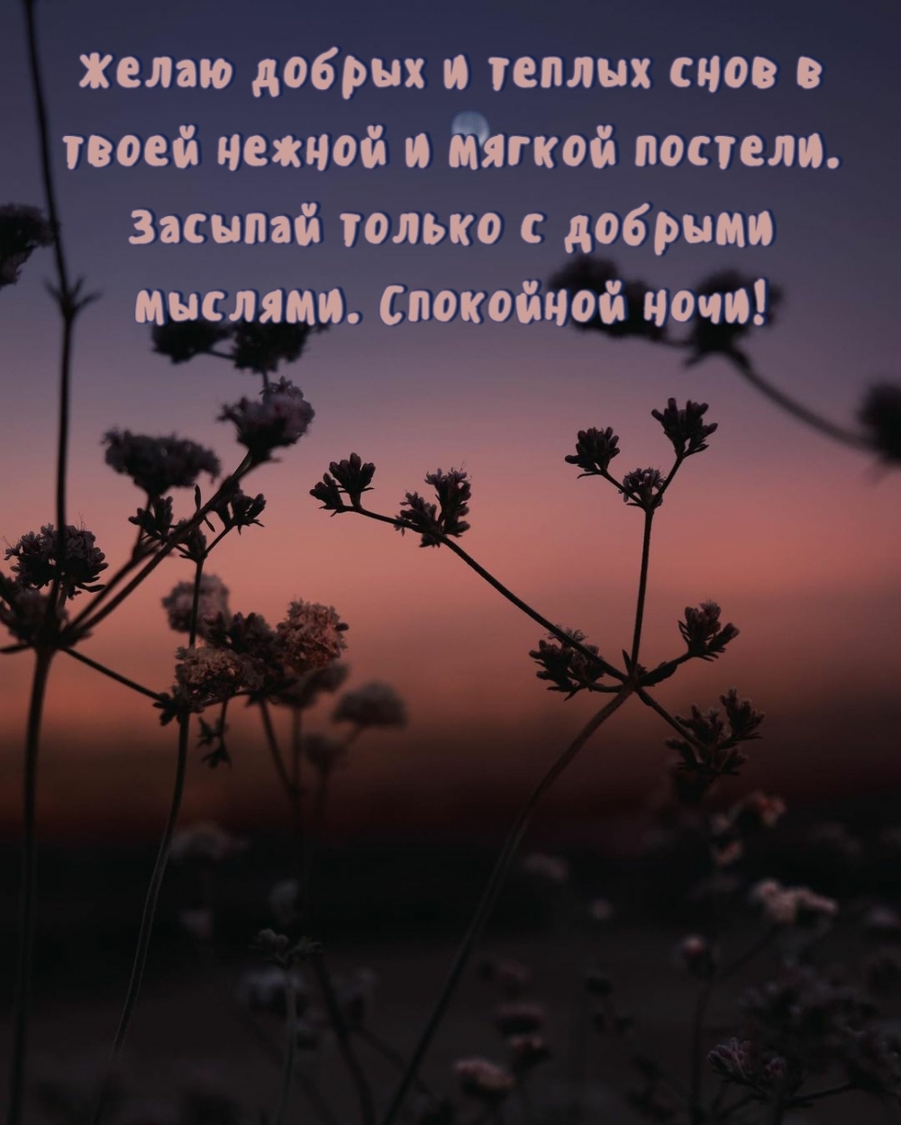 Спокойной ночи! Желаю добрых и теплых снов