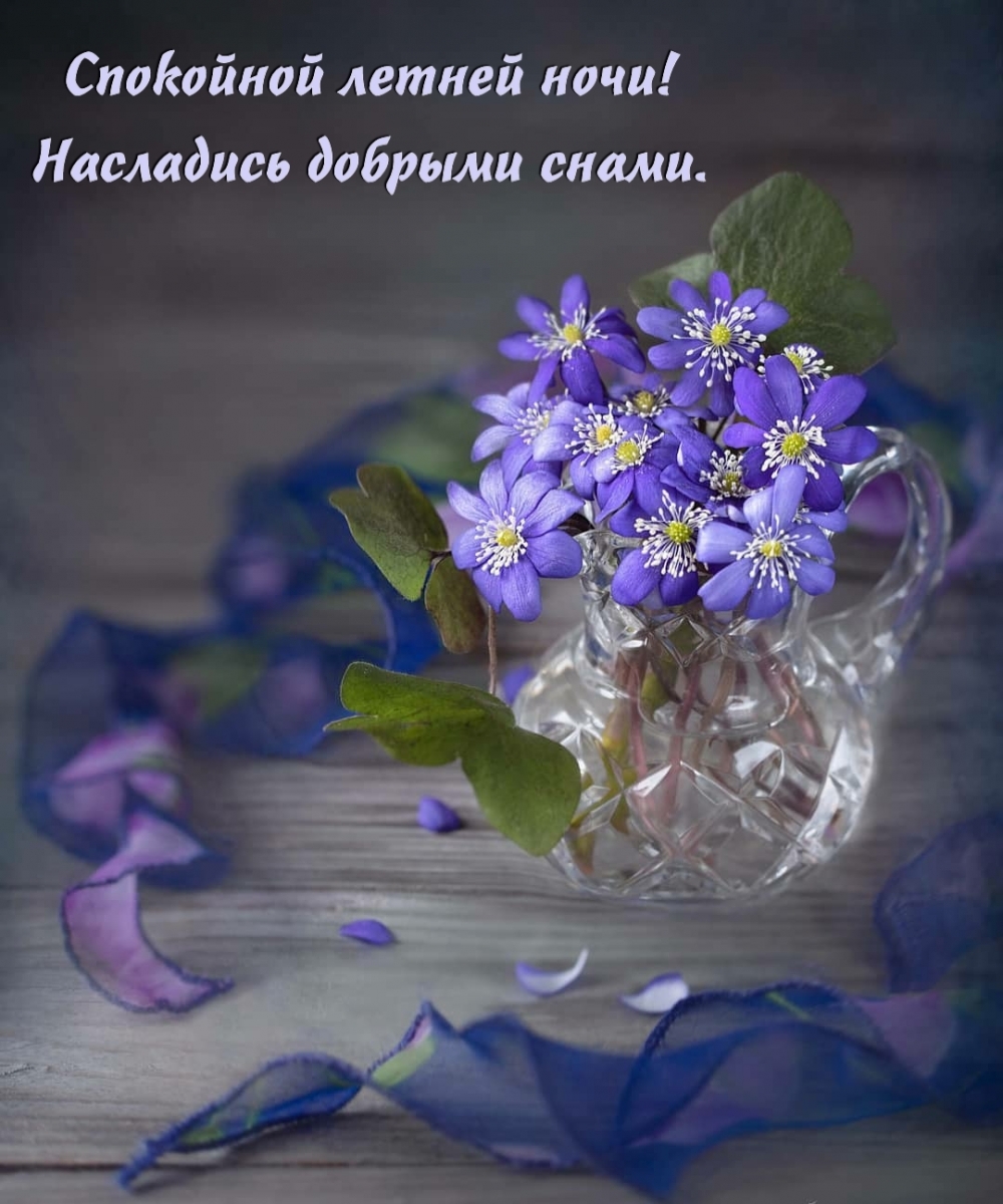 Спокойной летней ночи! Насладись добрыми снами.
