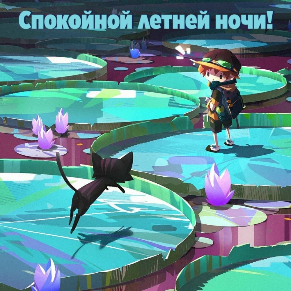 Спокойной летней ночи!