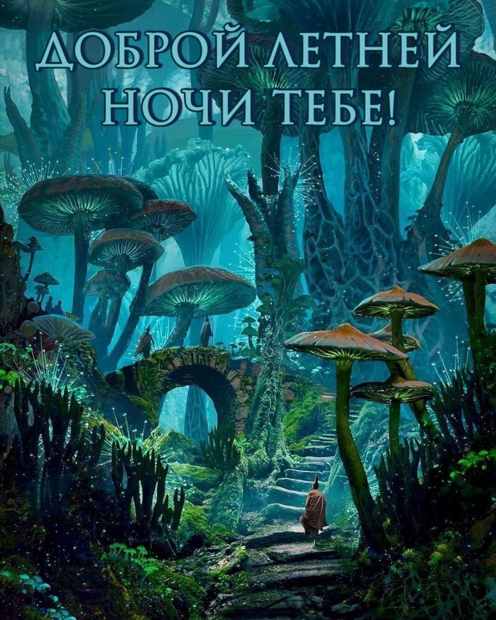 Доброй летней ночи тебе!