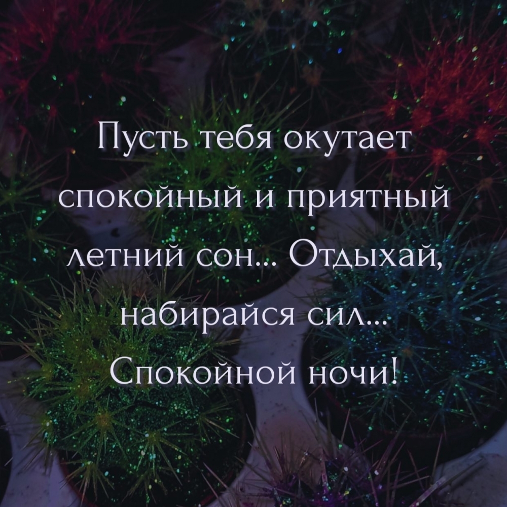 Пусть тебя окутает спокойный и приятный летний сон