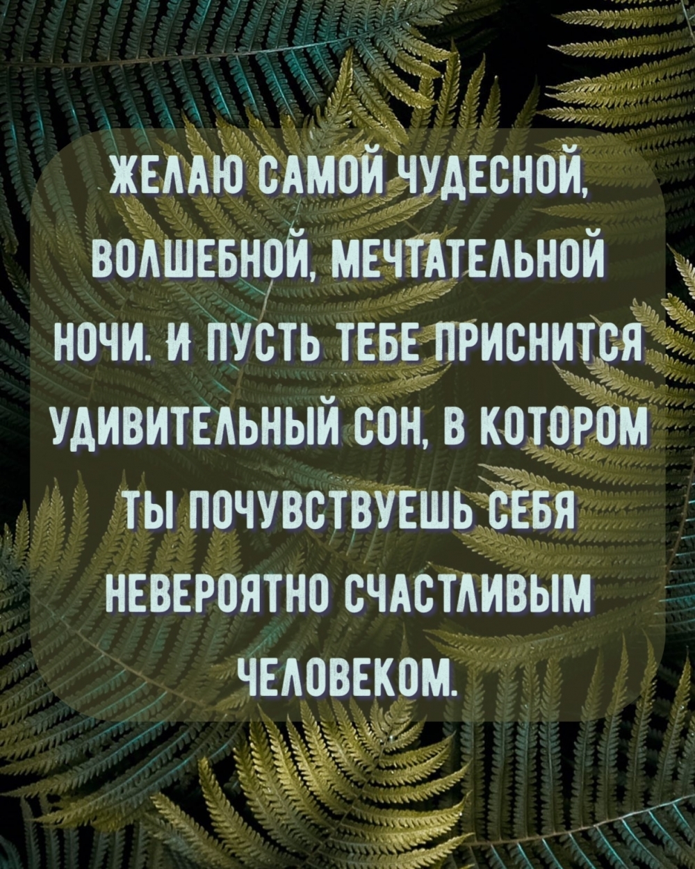 Желаю самой чудесной, волшебной, мечтательной ночи.