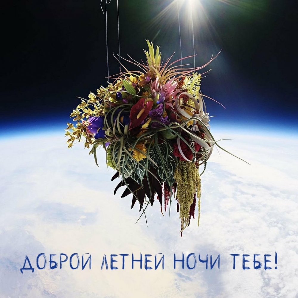 Доброй летней ночи тебе!