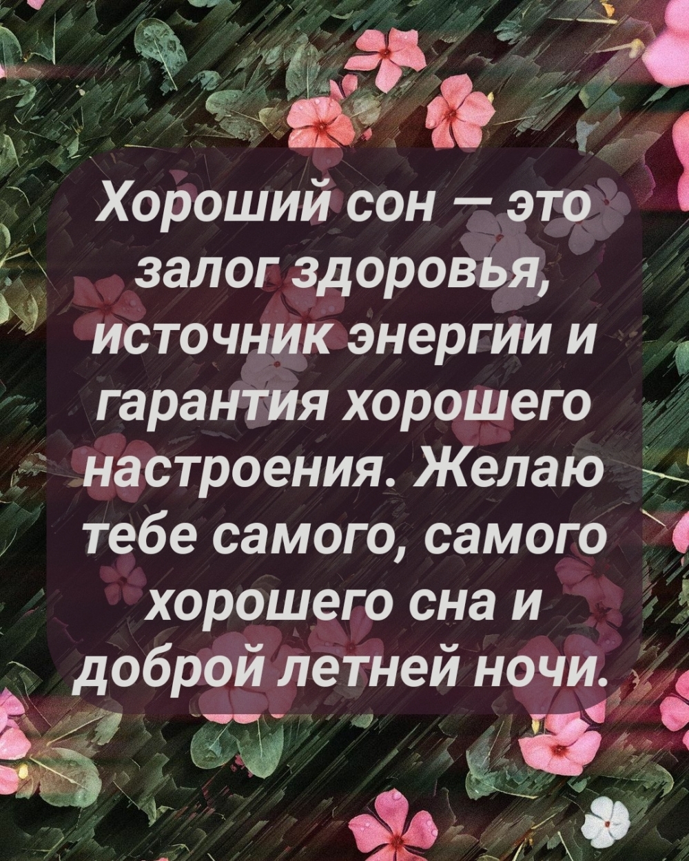 Хороший сон — это залог здоровья