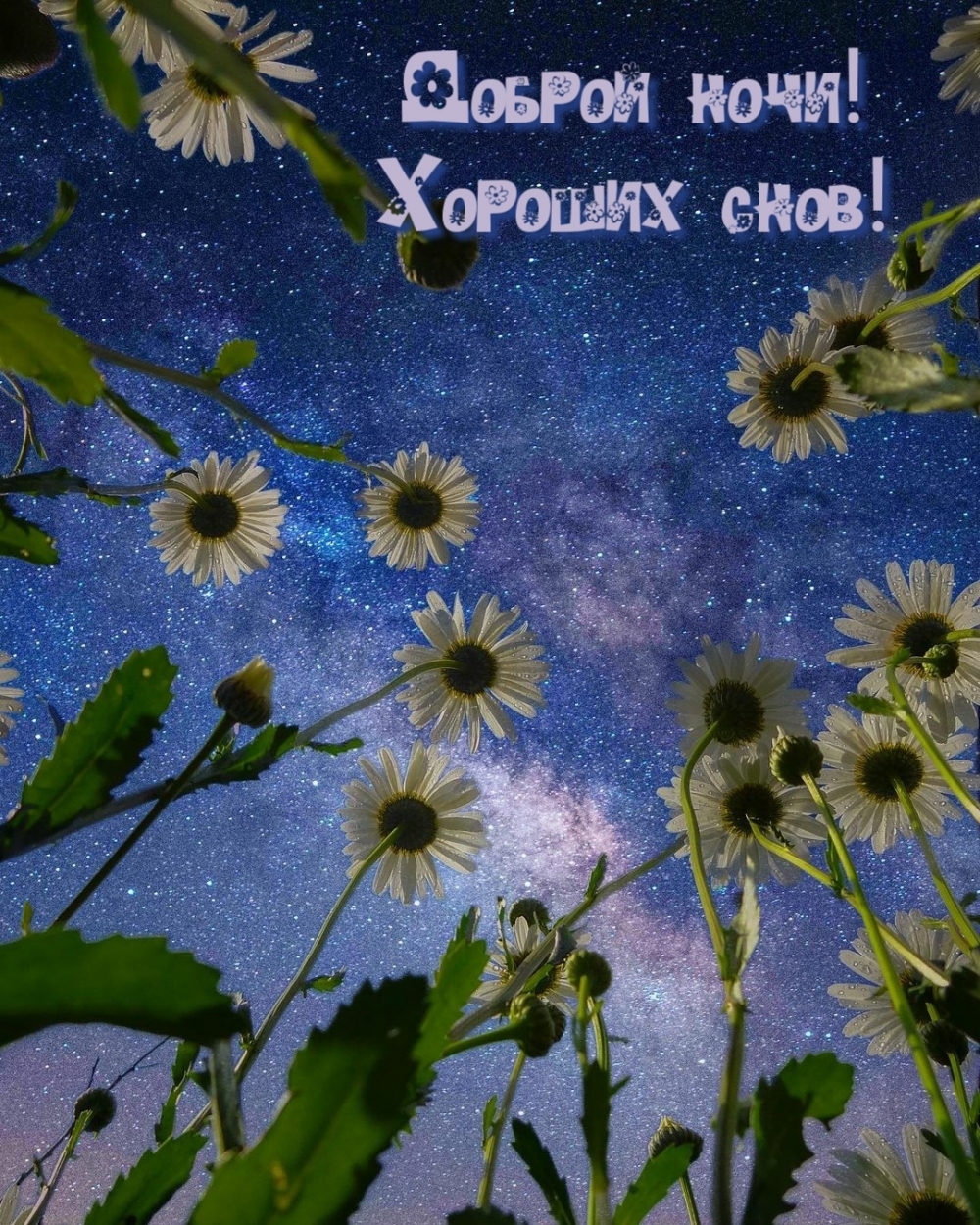 Доброй ночи! Хороших снов!