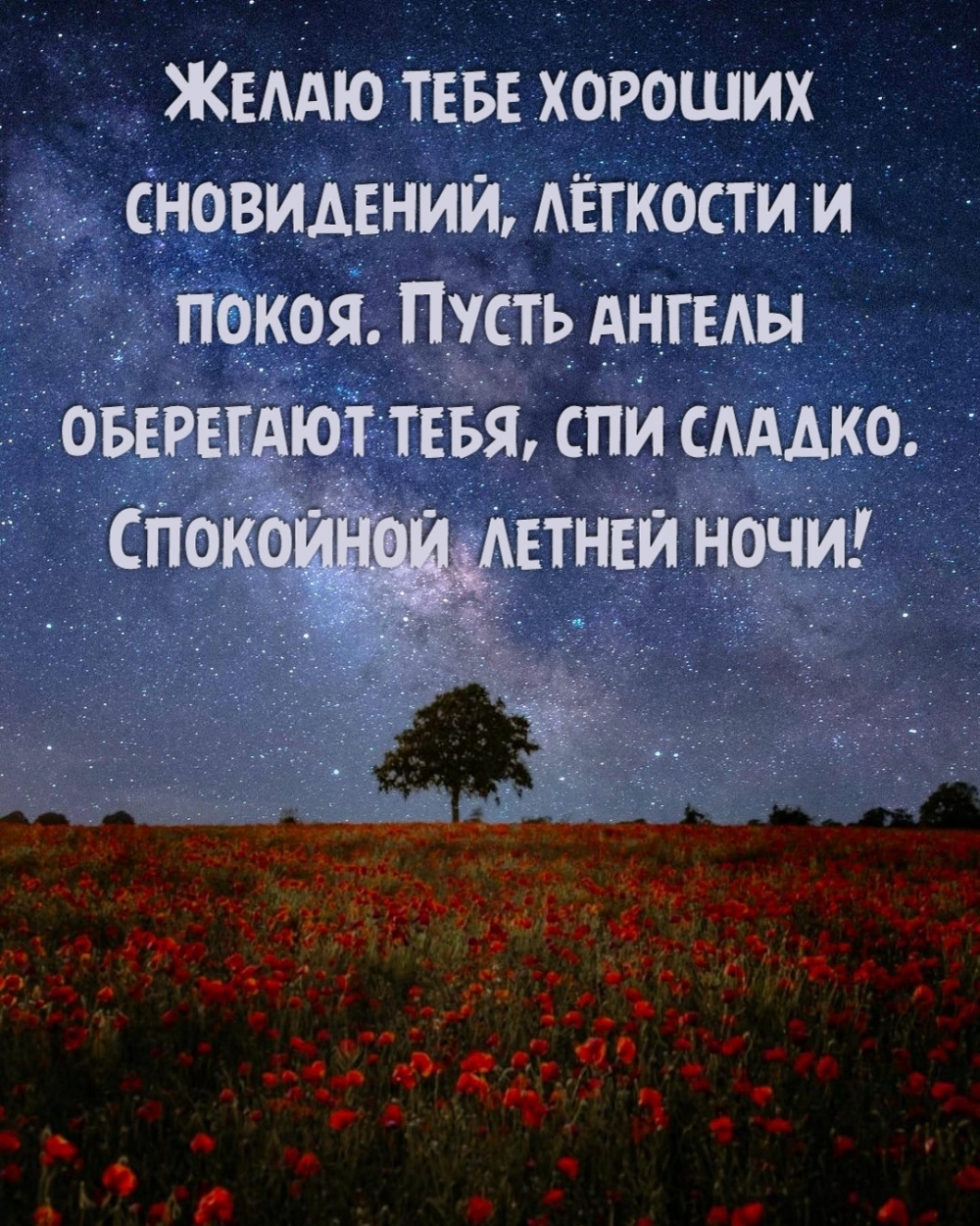 Желаю тебе хороших сновидений, лёгкости и покоя.