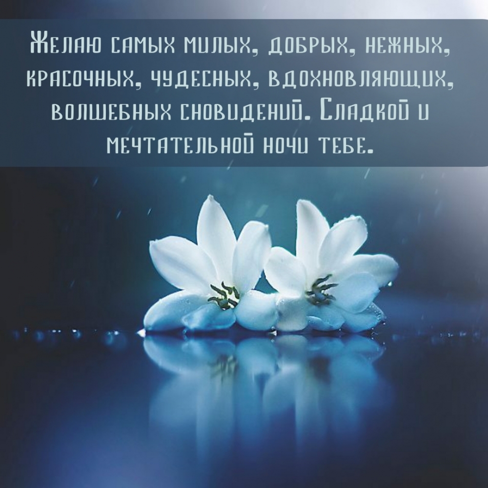 Сладкой и мечтательной ночи тебе.