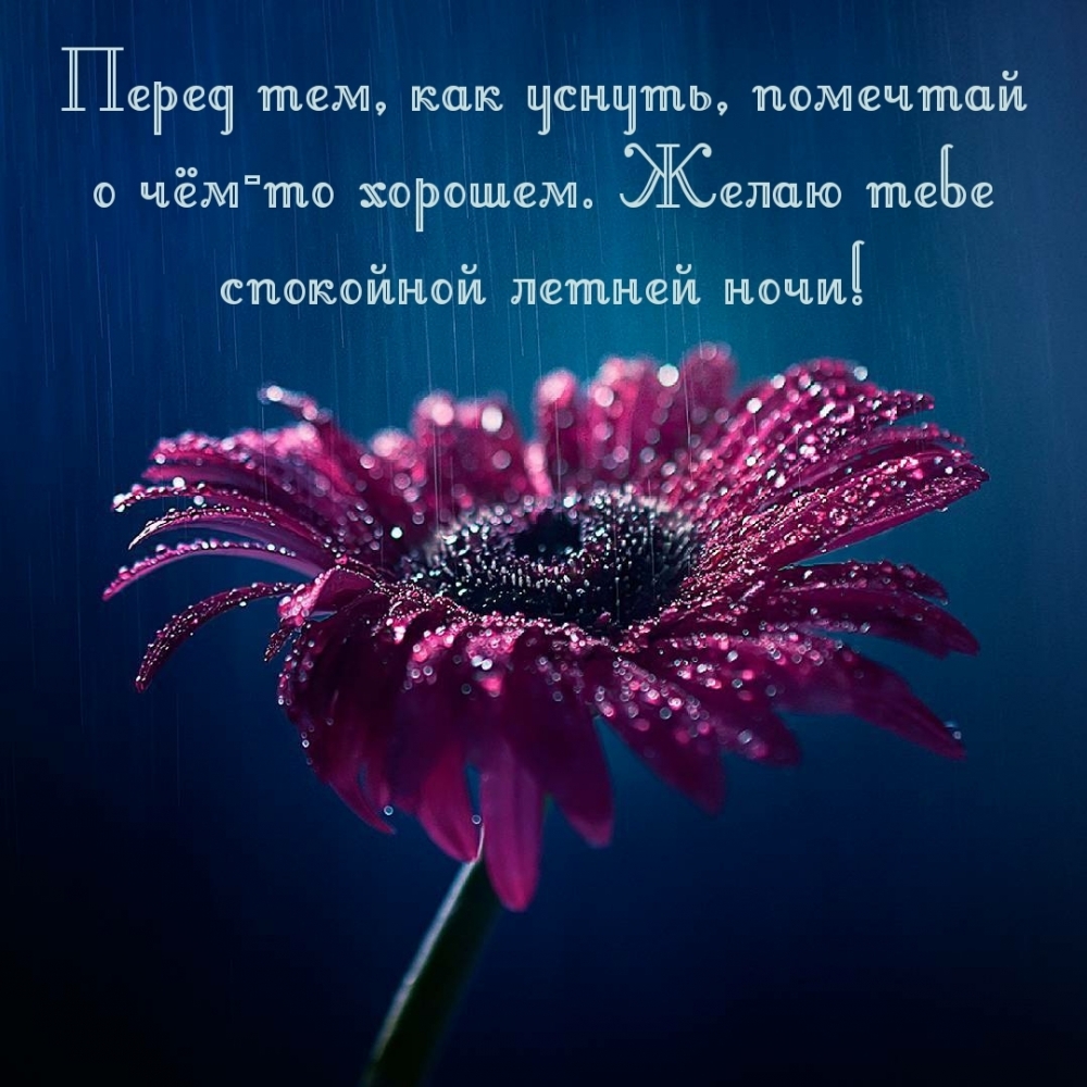 Желаю тебе спокойной летней ночи!