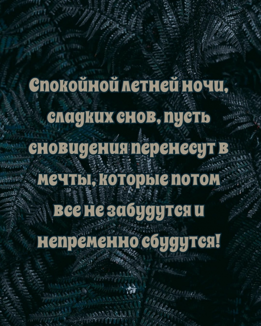 Спокойной летней ночи, сладких снов