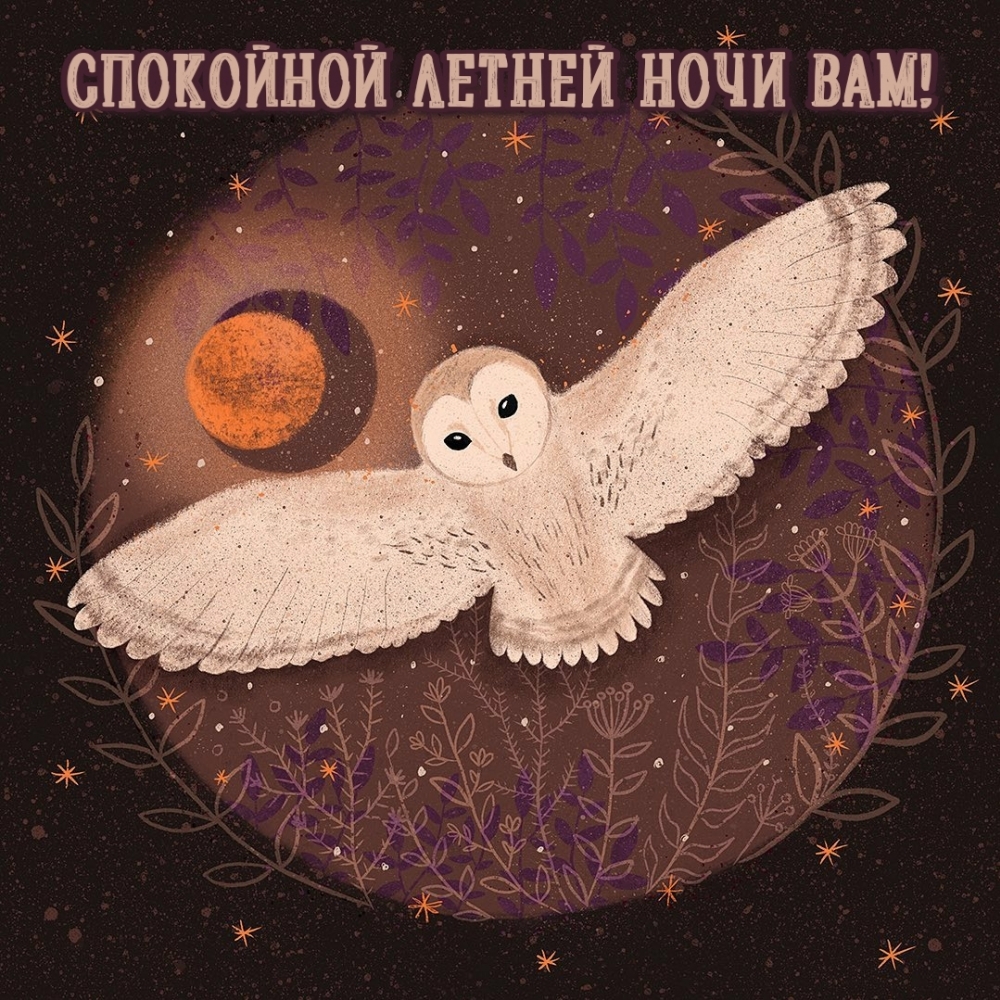Спокойной летней ночи вам!