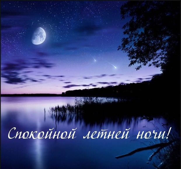 Спокойной летней ночи!