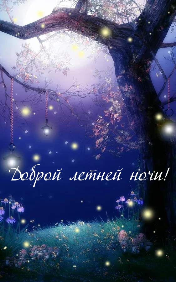 Доброй летней ночи!
